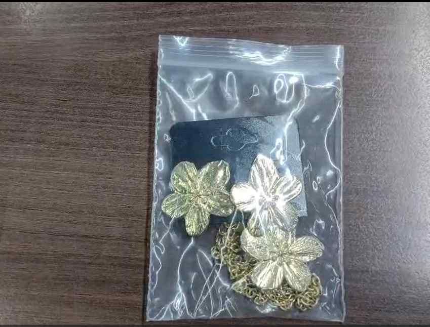 Set of Flower Necklace and Earring (Pack of 1)